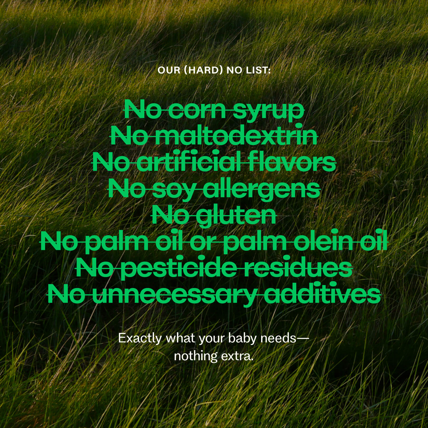Organic Whole Milk Infant Formula - Image 5